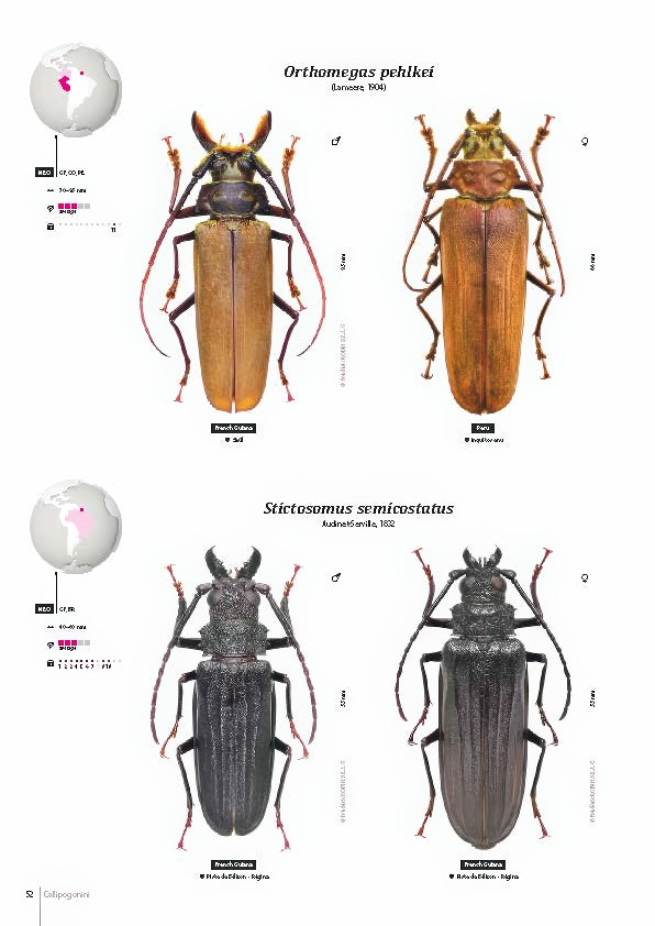 Subfamily Prioninae of the World I.
