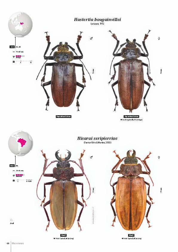 Subfamily Prioninae of the World I.