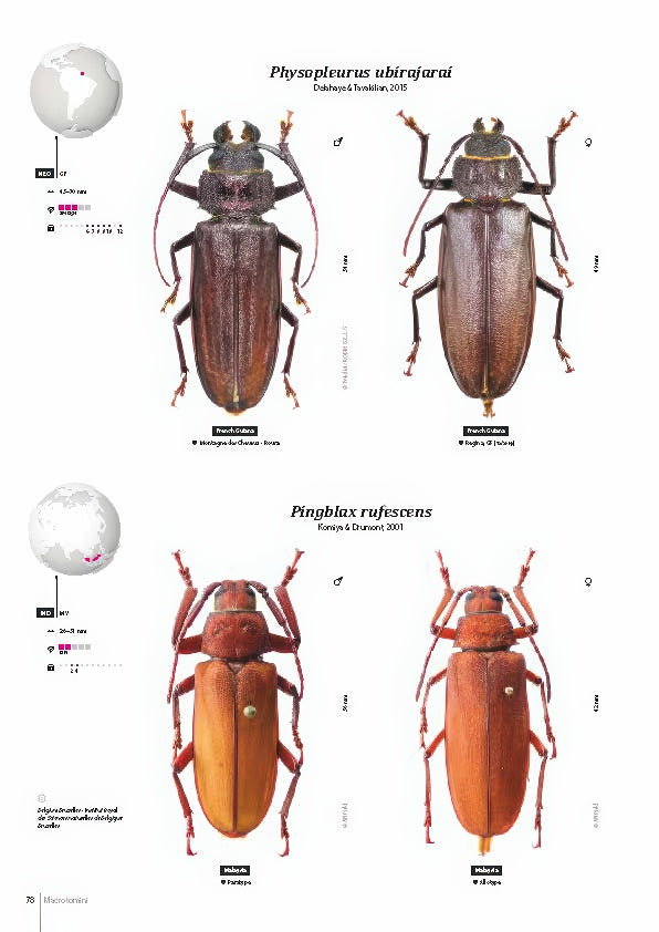 Subfamily Prioninae of the World I.