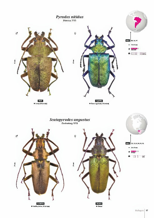 Subfamily Prioninae of the World I.