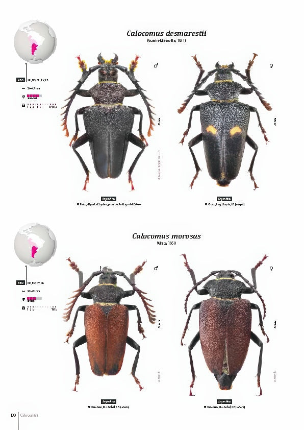 Subfamily Prioninae of the World I.