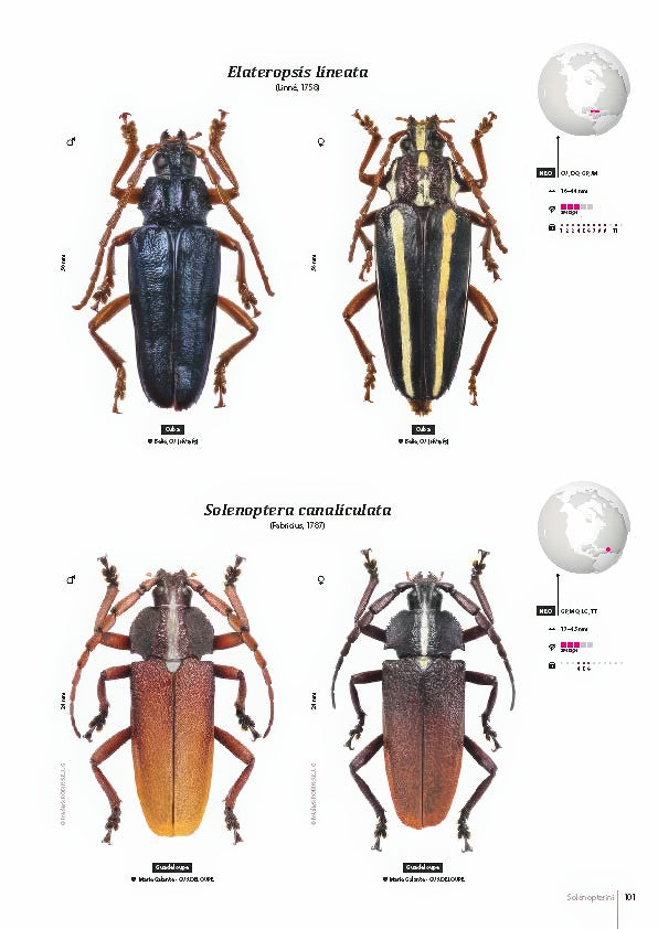 Subfamily Prioninae of the World I.