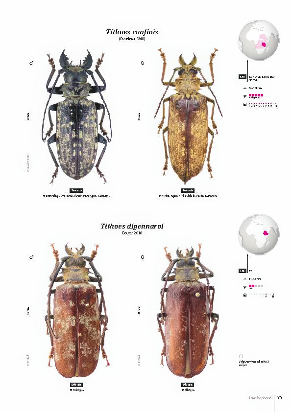 Subfamily Prioninae of the World I.