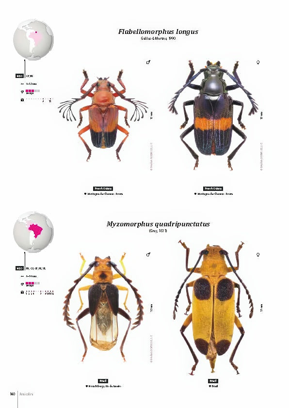 Subfamily Prioninae of the World I.
