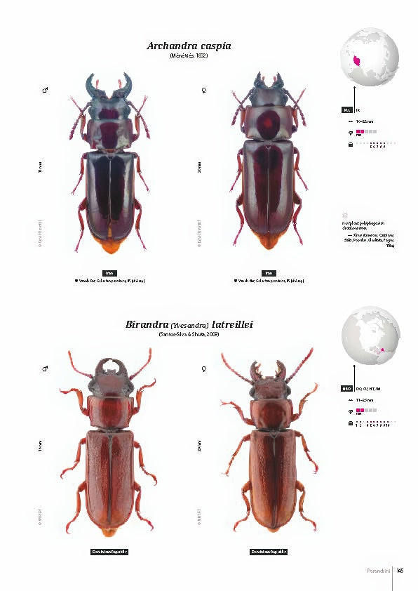 Subfamily Prioninae of the World I.