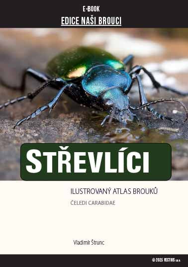 Střevlíci Carabidae E-book